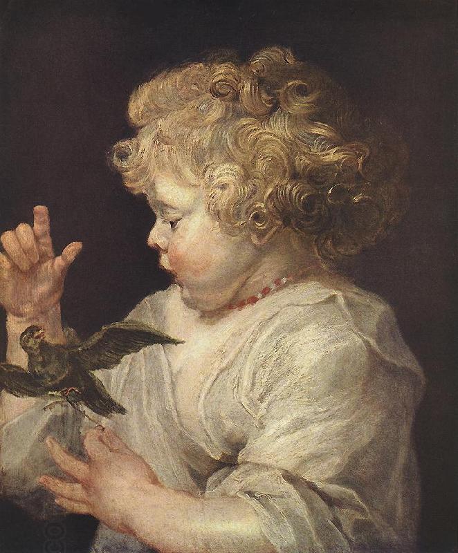 RUBENS, Pieter Pauwel Boy with Bird